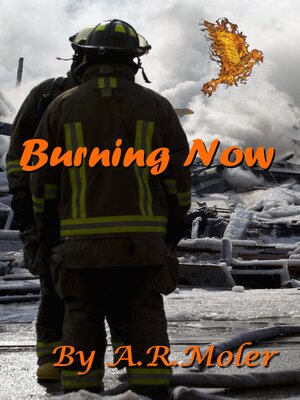cover image of Burning Now